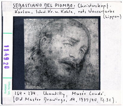 Vorschaubild Sebastiano del Piombo: Christuskopf. Chantilliy, Musée Condé 